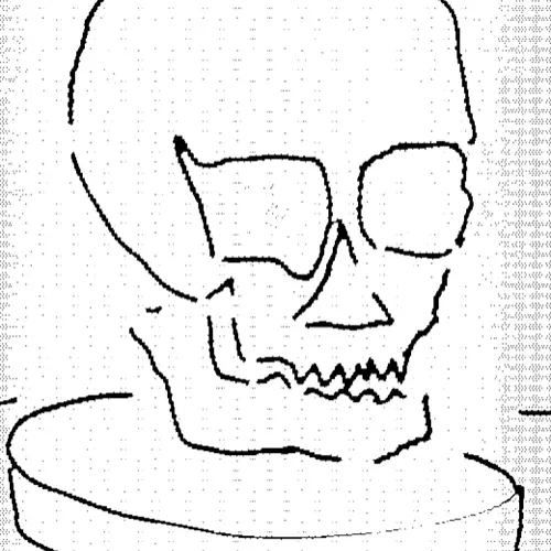 Skulls Of The Citadel
