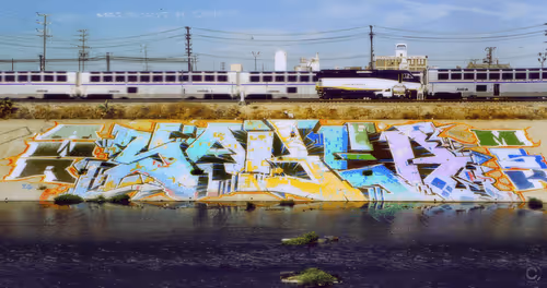 Item #57300020020 Media