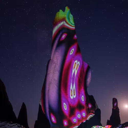 Citadelic