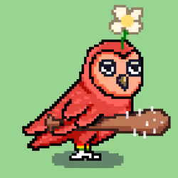 CryptoBirdeez #228
