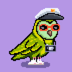CryptoBirdeez #156