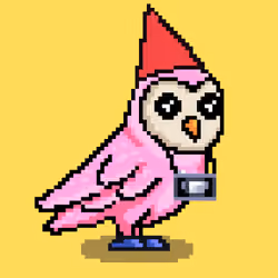 CryptoBirdeez #1005