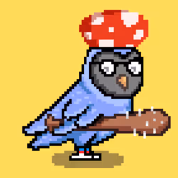 1097