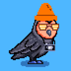 CryptoBirdeez #435