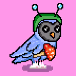 CryptoBirdeez #1062