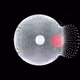 97
