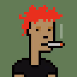 TycoonPunks #1263