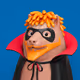 WisdomAni