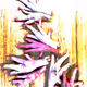 Psycho artist - V1