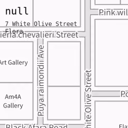 7 White Olive Street