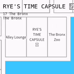 17 The Bronx