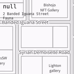 2 Banded Iguana Street