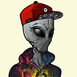 41