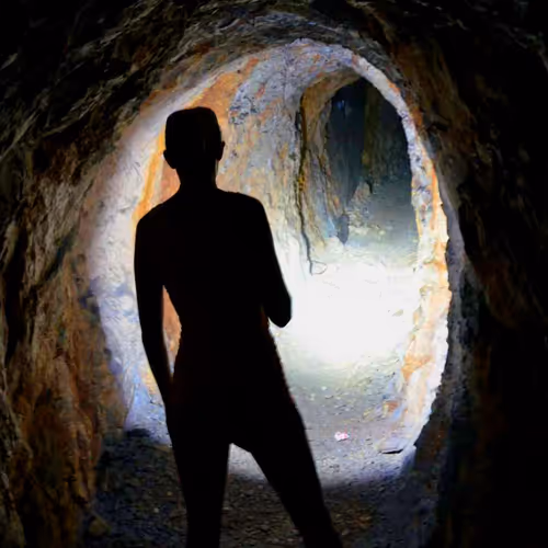 Follow The White Rabbit V2