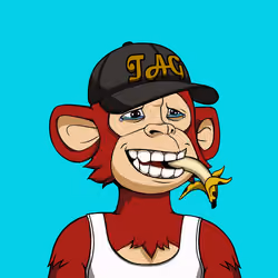 Teen Ape Gang #4309