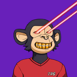 Teen Ape Gang #4913