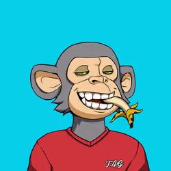 Teen Ape Gang #4857