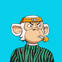 Teen Ape Gang #5015