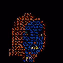 250