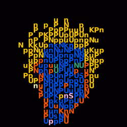238