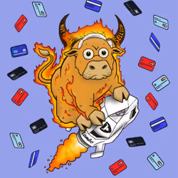 Bull #2284
