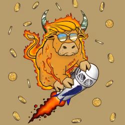 Bull #1374