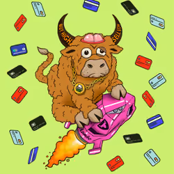 Bull #4848