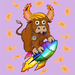 Bull #1707
