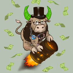 Bull #4904