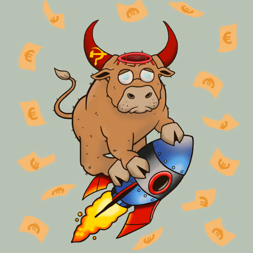 Bull #2564
