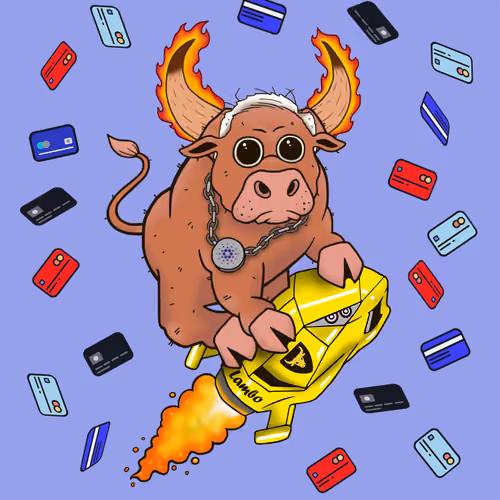 Bull #31