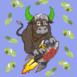 Bull #6364