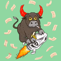 Bull #2497