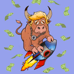 Bull #6365