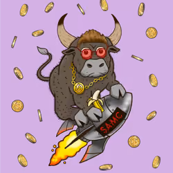 Bull #1141