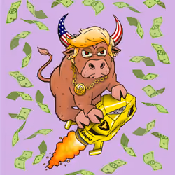 Bull #2070