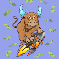 Bull #5843