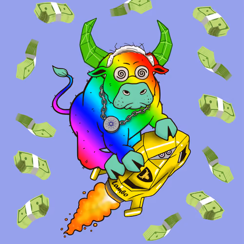 Bull #6937
