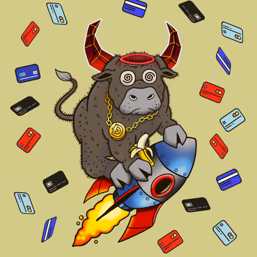 Bull #7797
