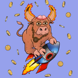 Bull #6608