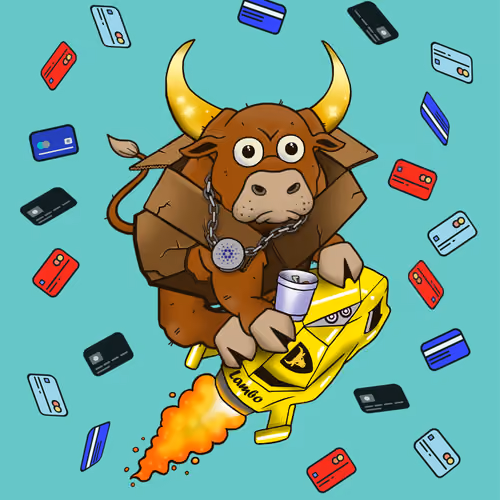 Bull #5529