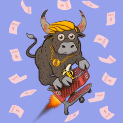 Bull #7217