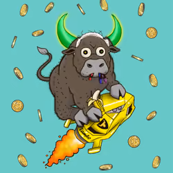Bull #8906