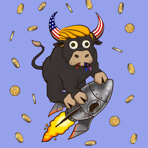 Bull #6805
