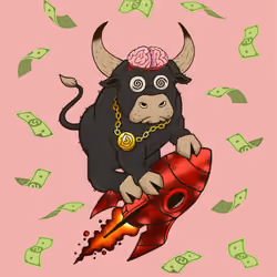 Bull #5693