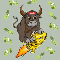 Bull #2893