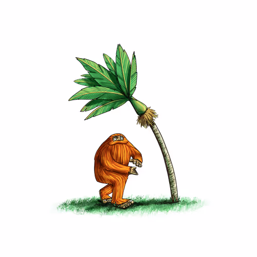 2 - Nikau Palm Barrel