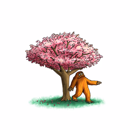 3 - Cherry Blossom Barrel