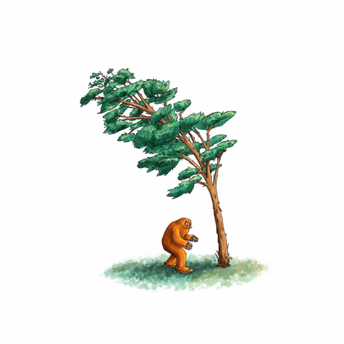 38 - Eucalyptus Barrel