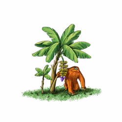 48 - Banana Palm Barrel